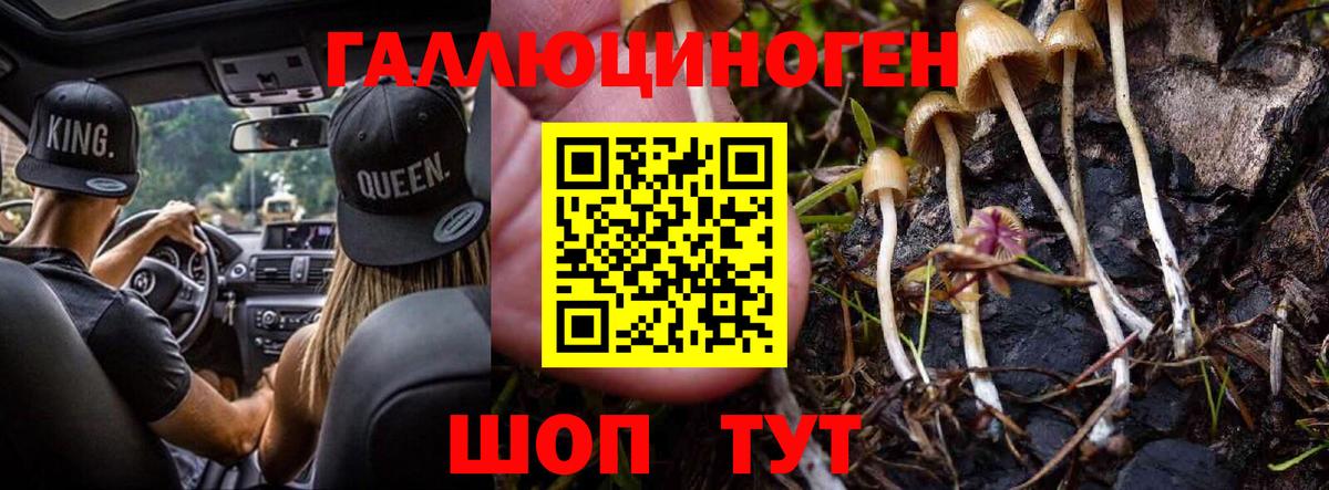 Галлюциногенные грибы Psilocybine cubensis  Вход с VPN  Родники  Псилоцибиновые грибы ЛСД 